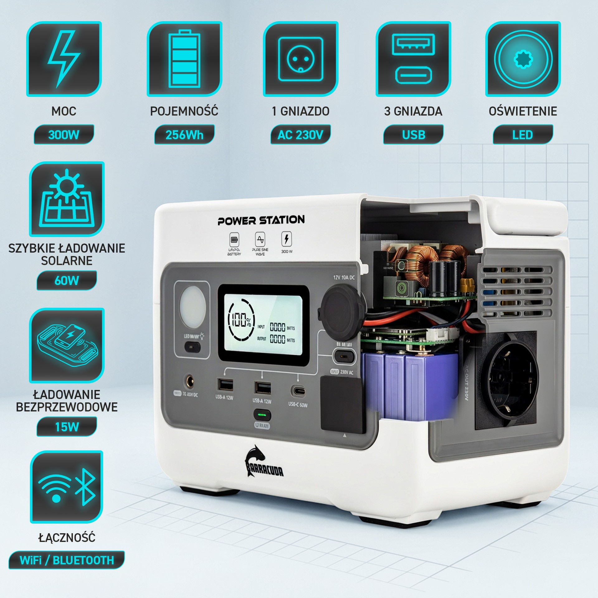 Toitejaam 300W/600W LiFEPO4 256Wh energiat salvestav varupatarei 230V USB AC/DC EPS